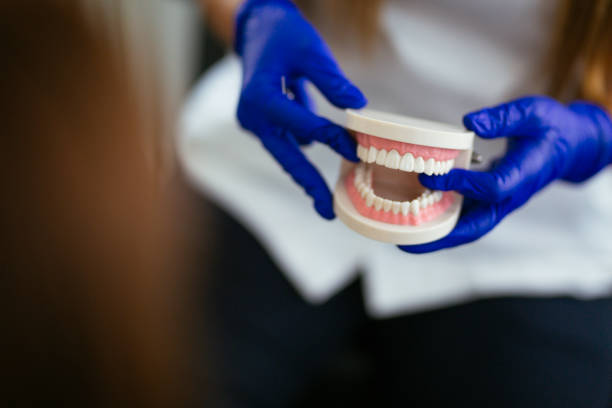 Best Invisalign and Clear Aligners  in Pine Ridge, FL